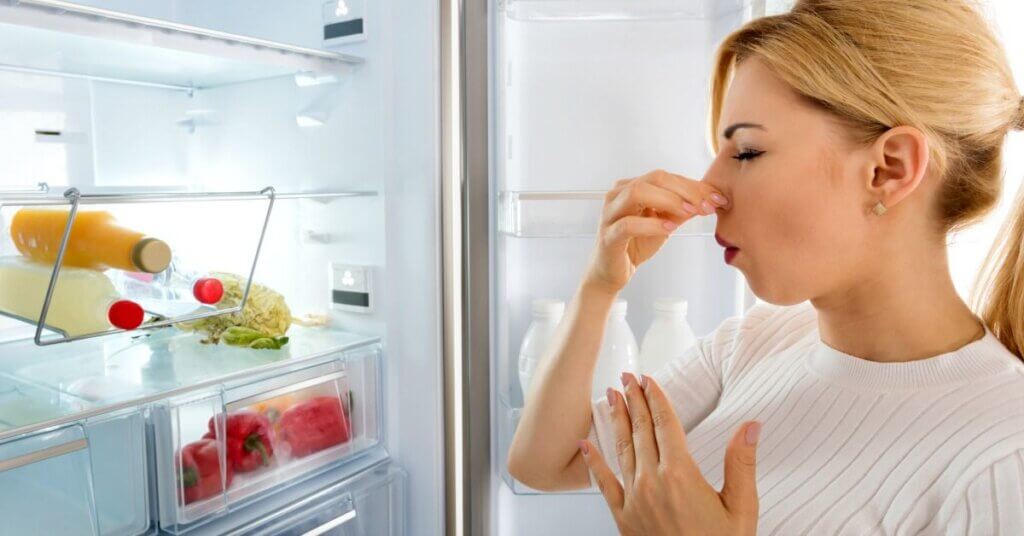 mal olor en el refrigerador